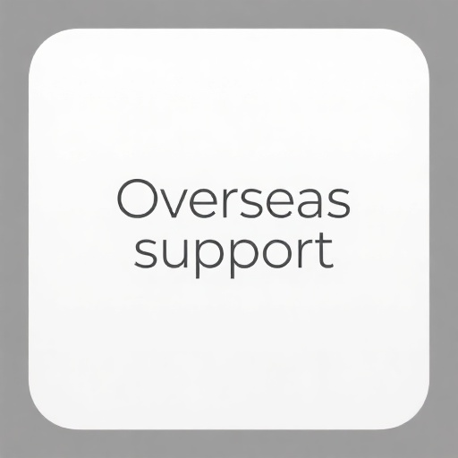 海外支援